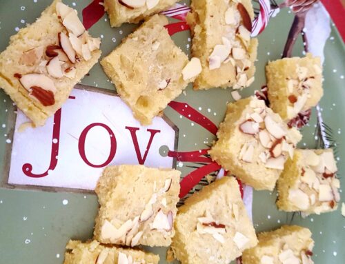 No Sugar Baker’s Swedish Blonde Brownies