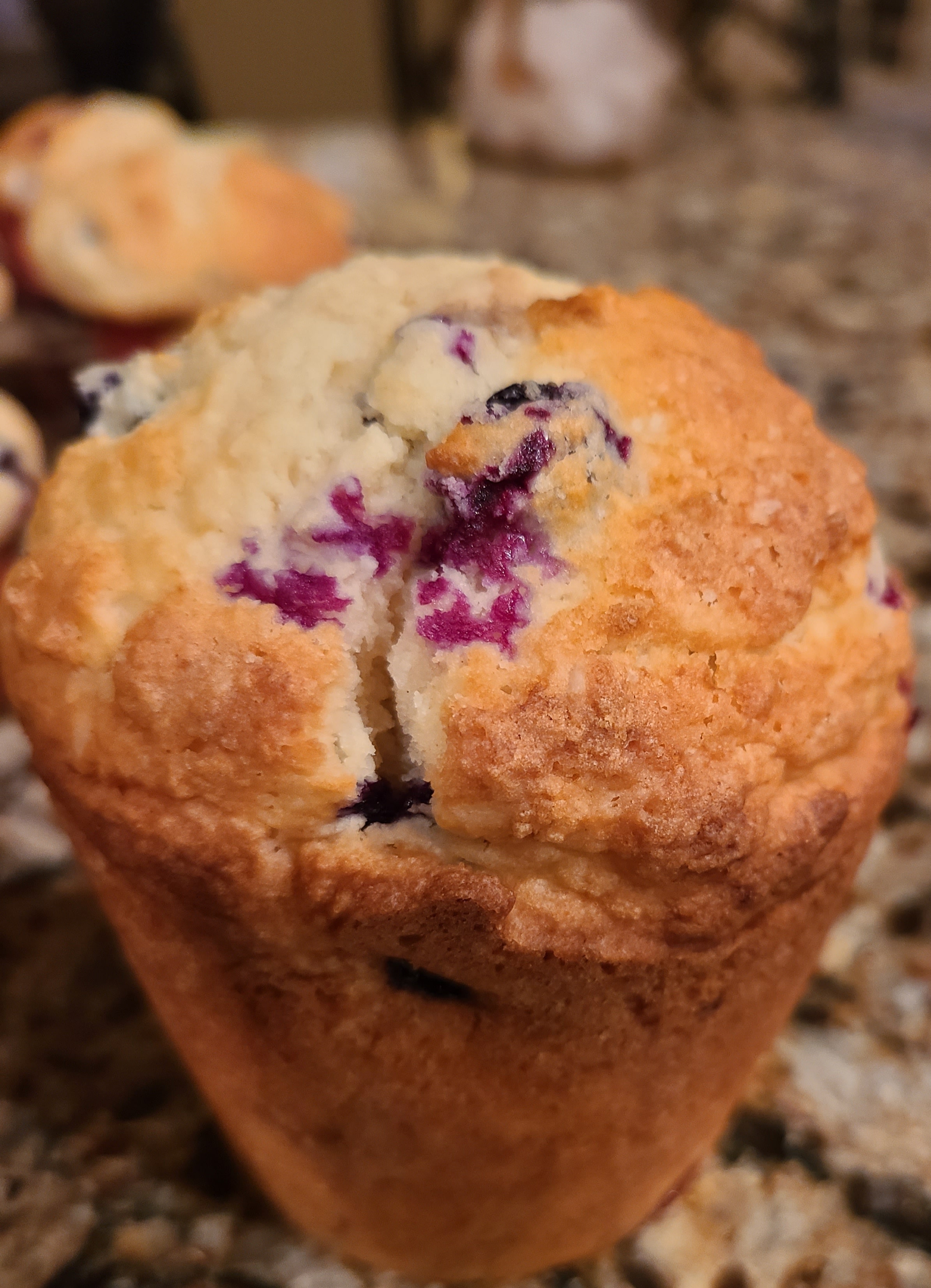No Sugar Baker’s Lemon Blueberry Muffins No Sugar Baker